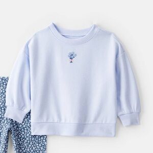 Carters toddler girl 3t blue sweatshirt with floral leggings fall/winter